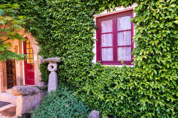 Vackert rött fönster på en vägg täckt med murgröna — Stockfoto