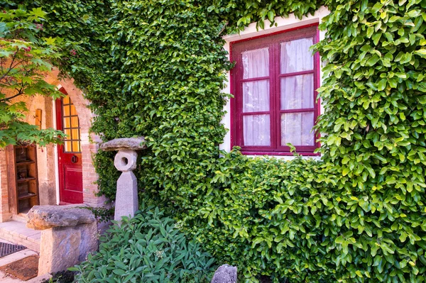 Hermosa ventana roja en una pared cubierta de hiedra —  Fotos de Stock