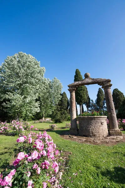 Poço no meio de um belo jardim de rosas — Fotografia de Stock