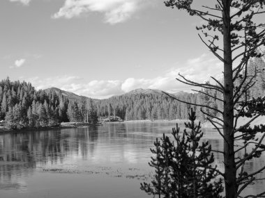 yellowstone renkleri