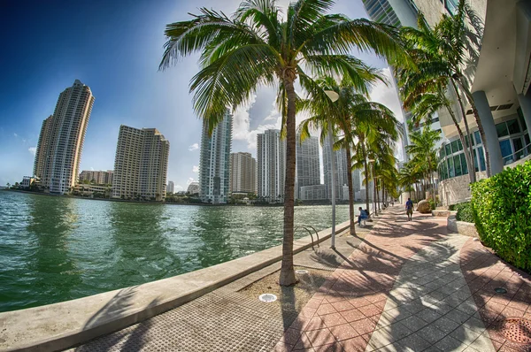 Miami, Floride. Magnifique vue sur les bâtiments de la ville le long de la mer — Photo