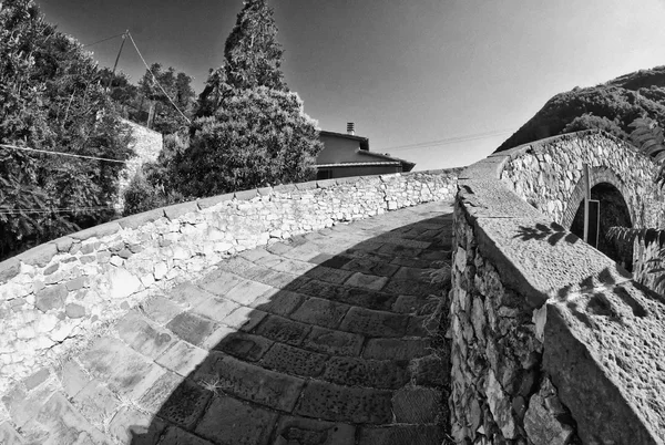 Devils bridge fisheye Visa, lucca — Stockfoto