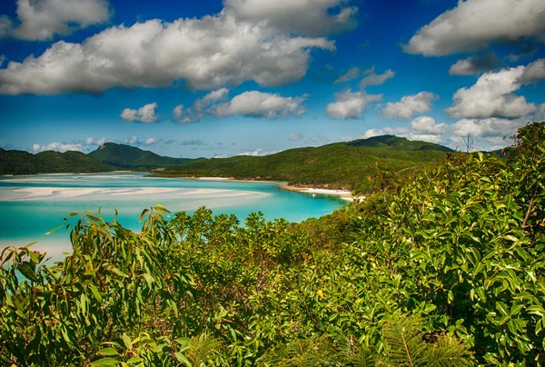 Чудесное море и лес Квинсленда. Whitehaven Beach - Austr — стоковое фото