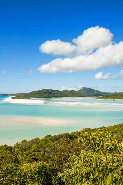 Wunderschönes meer und wald von königsland. whitehaven beach - austr — Stockfoto