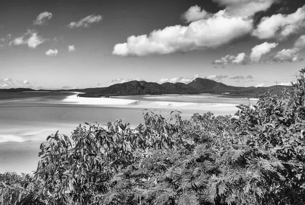 Morze i Las Queensland. Whitehaven beach - austr — Zdjęcie stockowe