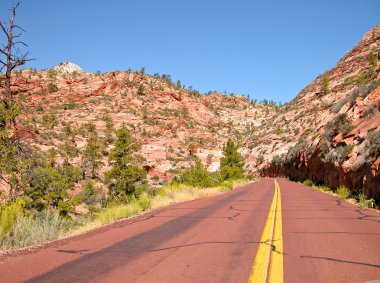 Zion national park