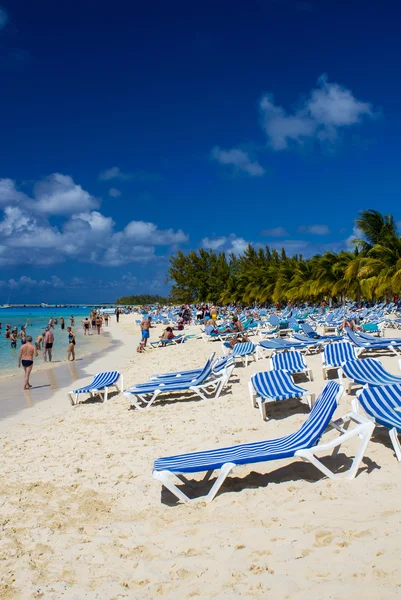 Rangées de transats sur une magnifique plage — Photo