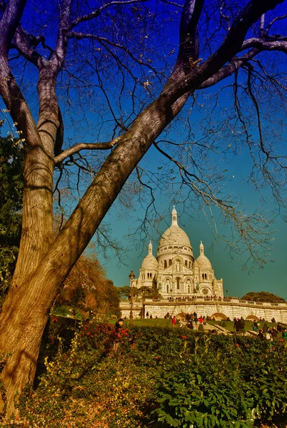 Paryż. wspaniały widok na katedrę Najświętszego Serca Pana Jezusa. Le sacre coeur — Zdjęcie stockowe