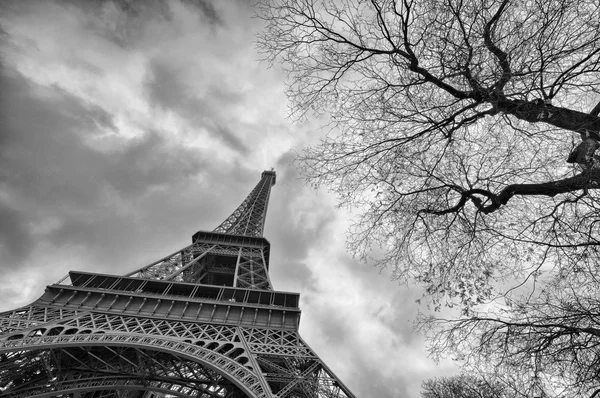 Vacker utsikt över Eiffeltornet med vegetation — Stockfoto