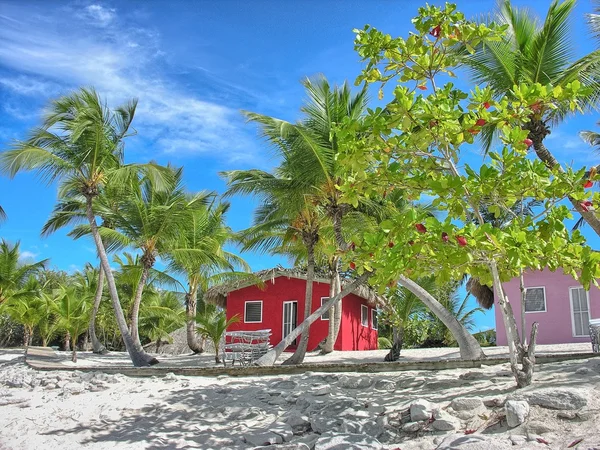 Belle case colorate su una spiaggia di caraibi — Foto Stock