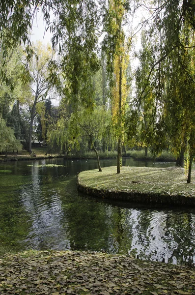 Vegetazione del Parco Fonti del Clitunno in Umbria — Foto Stock