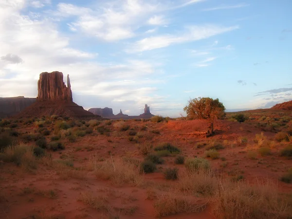 Sommer im Monument Valley — Stockfoto