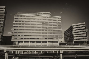 Mallard patos en la nieve en invierno