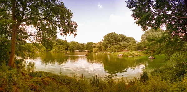 Vacker panoramautsikt över central park i sommarsäsongen, nyc — Stockfoto