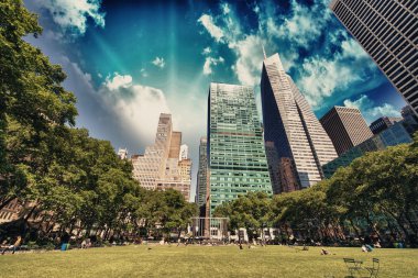 Bryant park, new york şehri. Bahçe ve güzel summ ağaçta