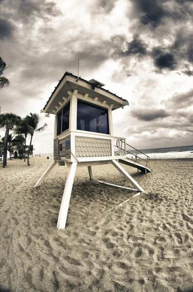 Detalj av stranden fort lauderdale, florida — Stockfoto