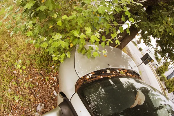 Auto gegen Baum, Italien — Stockfoto