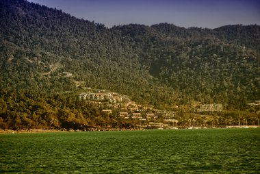 kıyı şeridi airlie Beach Queensland - Avustralya