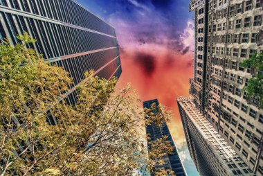 New york şehri. manhattan binaların ağaçları ile yukarı doğru görünümü