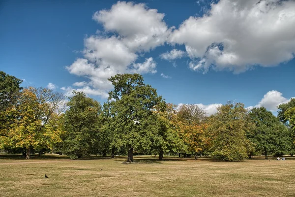 Maravilloso cielo sobre Hyde Park con hermosa vegetación - Londres —  Fotos de Stock