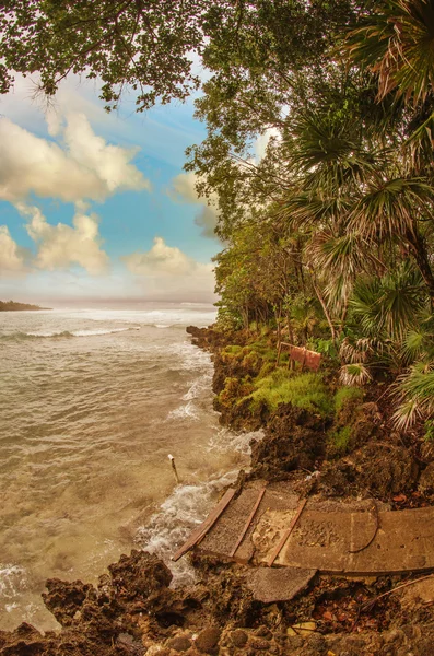 Vegetation og klipper med hav og stormfuld himmel - Stock-foto
