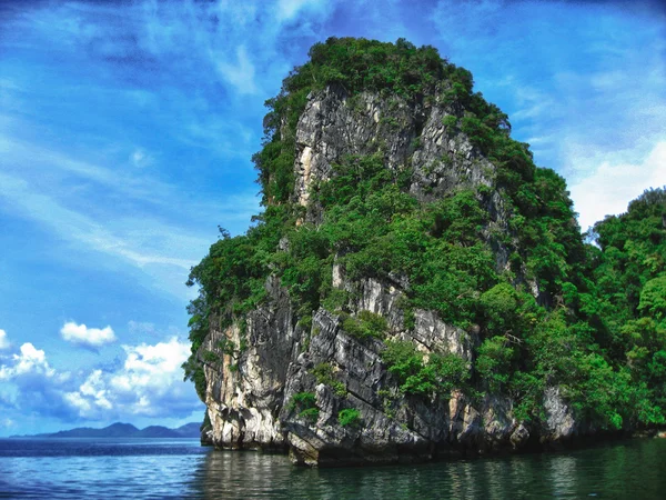 Inselvegetation in Thailand — Stockfoto