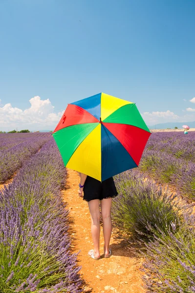 Champ de lavande, Provence. Belle femme avec parapluie coloré — Photo