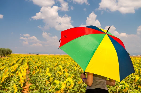 ヒマワリのフィールドのカラフルな傘を持つ美しい女性 — ストック写真