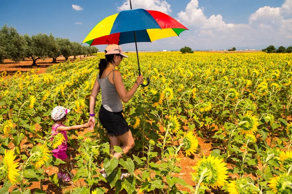 Schöne Frau mit buntem Regenschirm auf einem Sonnenblumenfeld — Stockfoto
