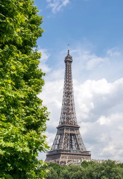 Eyfel Kulesi, paris. La tour eiffel yaz aylarında ağaçlarıyla çevrili — Stok fotoğraf