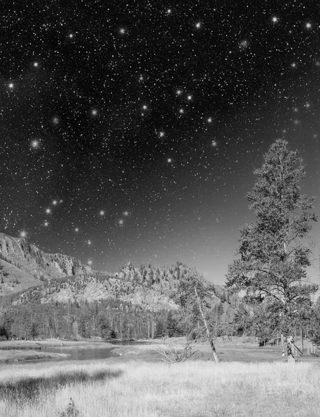 Hermoso paisaje de montaña por la noche con prados y árboles —  Fotos de Stock