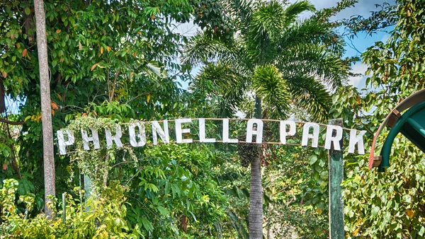 Vegetasjon og fargestoffer i Paronella Park, Queensland – stockfoto