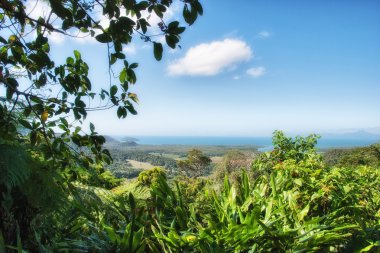 Orman Queensland kış sezonu