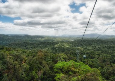 yağmur ormanlarında daintree Milli Parkı - queensland, Avustralya