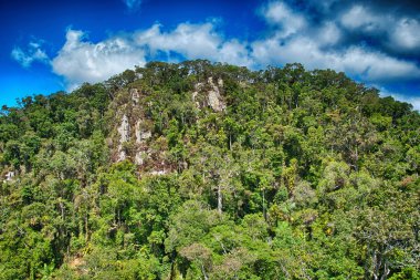 kuranda - queensland, austra için dan cairns tropik yağmur ormanı