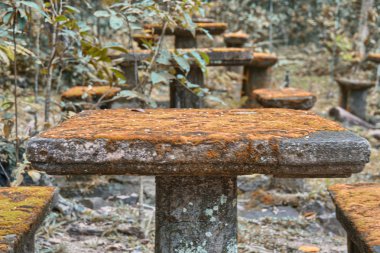 paronella park, İstanbul. bitki örtüsü ve renkler kış denizlerde