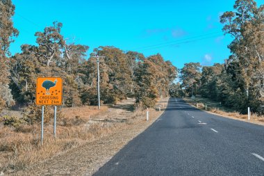 tehlike geçtikten cassowaries İstanbul yolu üzerinde kayıt