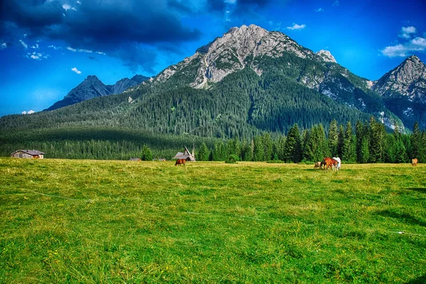 Dolomiterna, sommarsäsongen. underbara landskap av italienska Alperna — Stockfoto