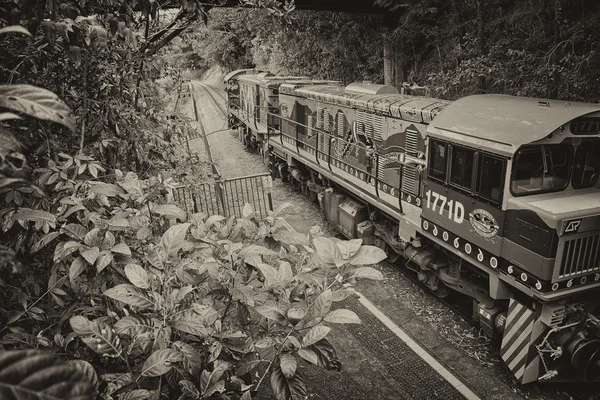 Cairns, Australien - jul 22: berömda kuranda-cairns tåg på juli — Stockfoto