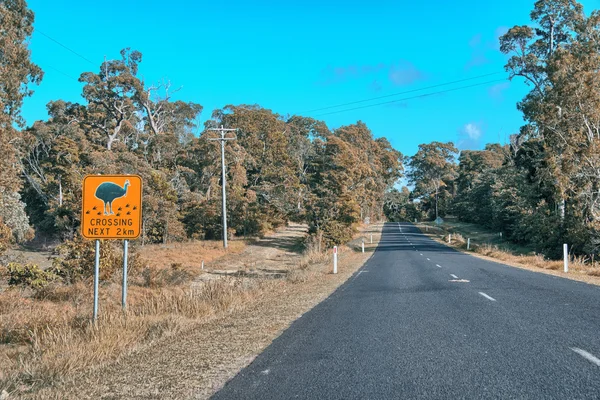 Cassowaries crossing danger sign on Queensland road — Stock Photo, Image