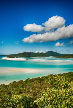muhteşem deniz ve orman Queensland. Whitehaven Plajı