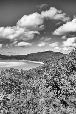 Whitehaven plaj lagün, milli park queensland