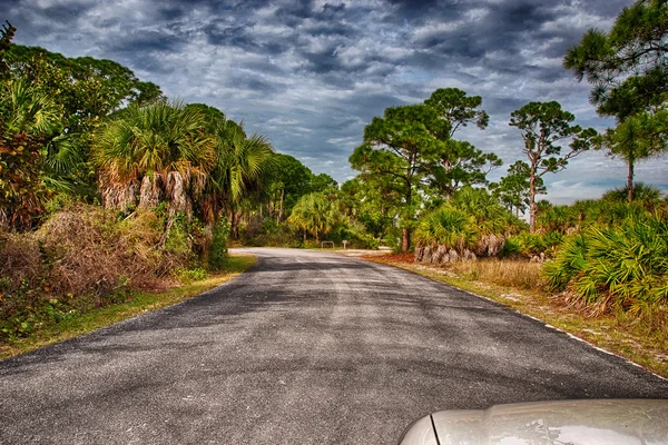 플로리다-미국에 있는 허니문 섬 주립 공원 — 스톡 사진