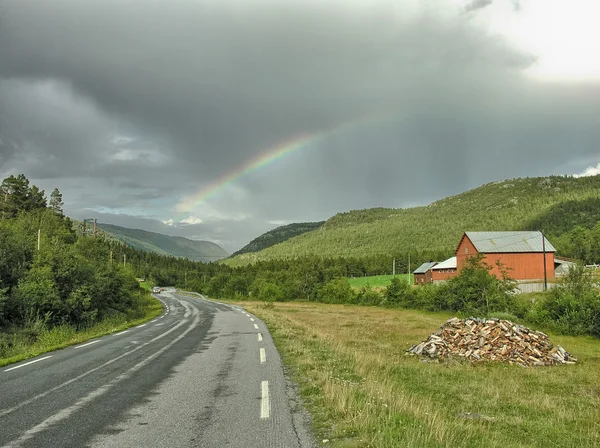 Bellissimo scenario della campagna norvegese nella stagione estiva — Foto Stock