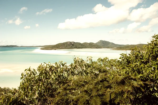 Wonderful sea and forest of Queensland. Whitehaven Beach - Austr — Stock Photo, Image