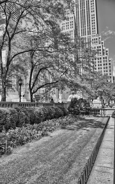 Fünfte Avenue und New Yorker Stadtbibliothek — Stockfoto