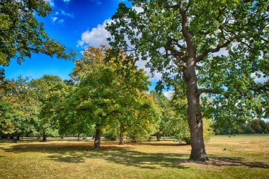 güzel hyde park Londra