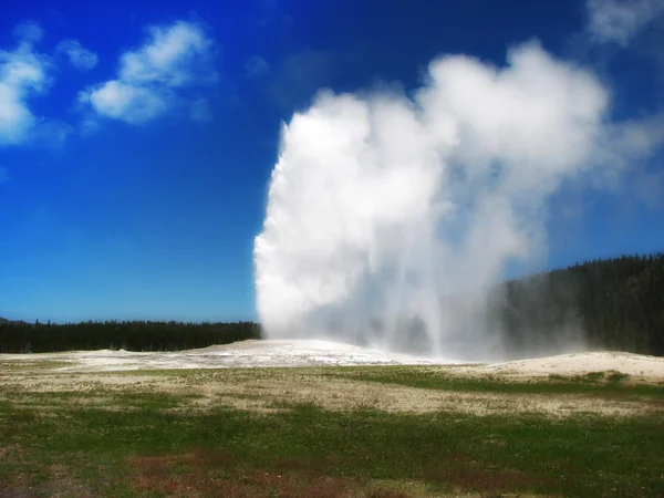 Uitbarsting van Old Faithful geiser in het Yellowstone National Park — Stockfoto