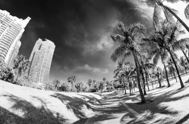geçit içinde bir güzel park Güney pointe miami Beach
