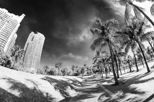 Spazierweg in einem wunderschönen Park an der Südspitze von Miami Beach — Stockfoto